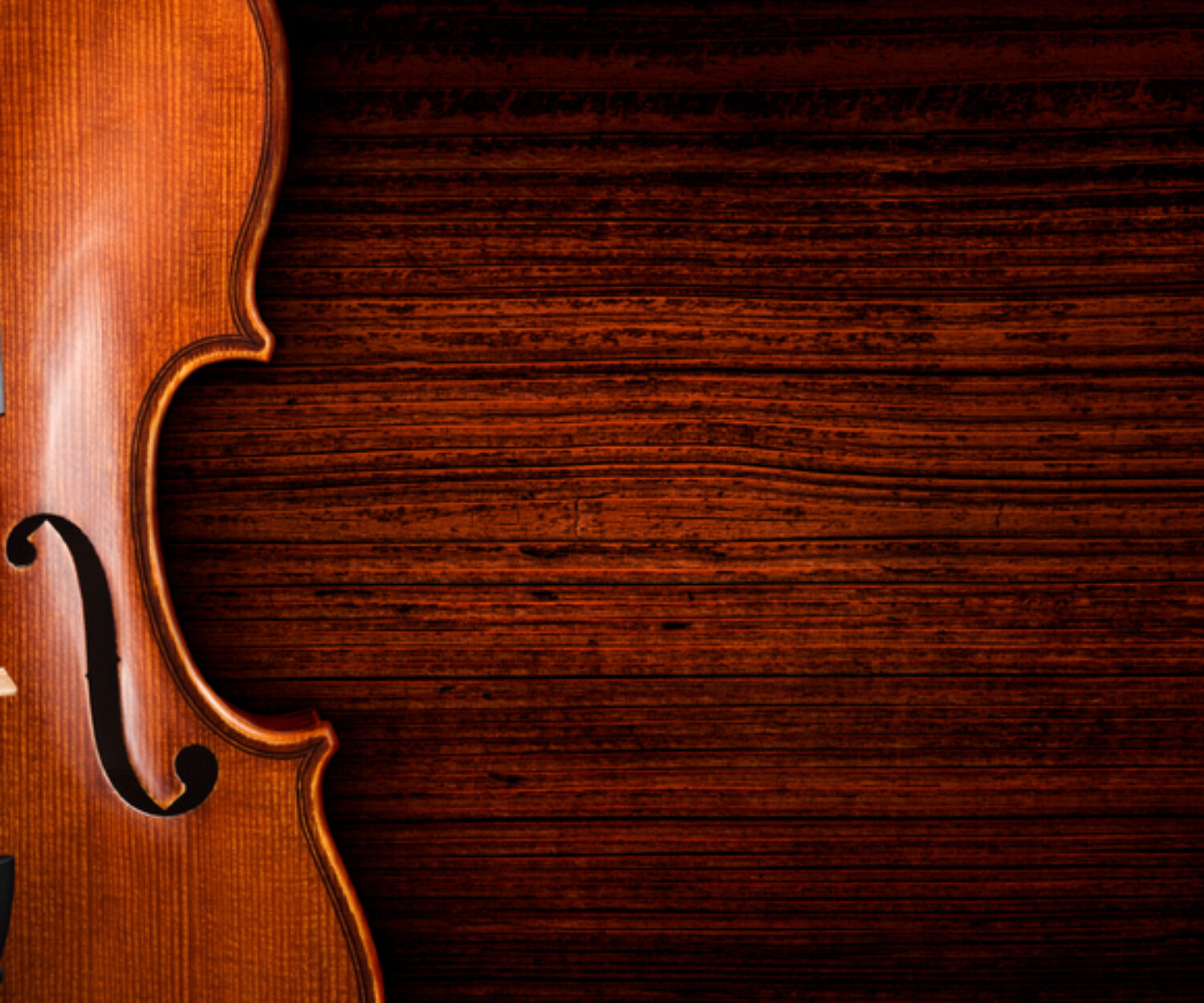 Violin