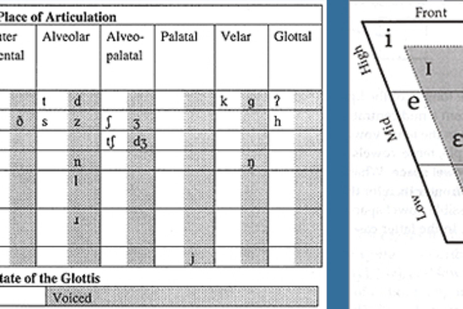 IPA Chart